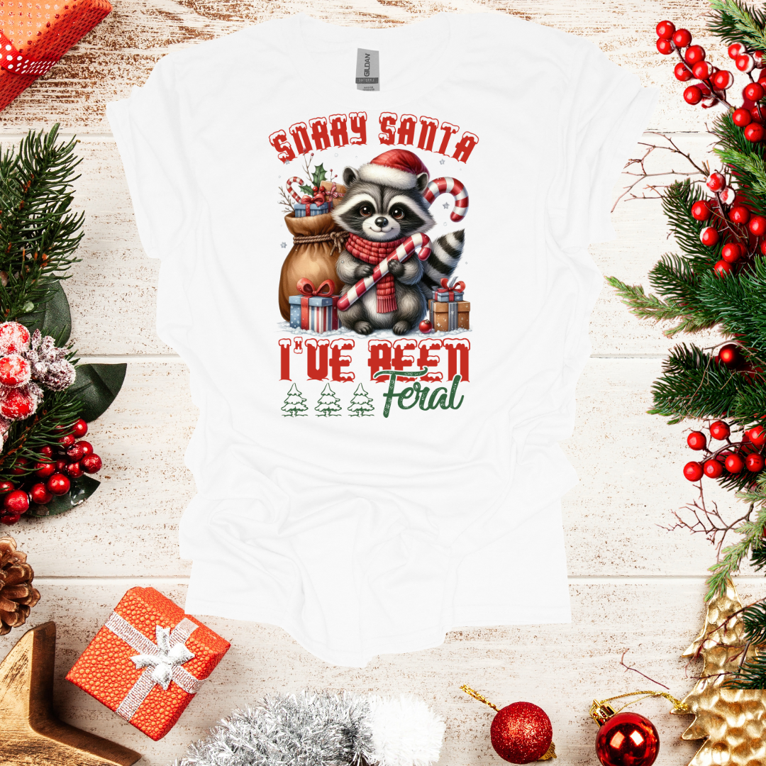 Unisex Sorry Santa T-Shirt